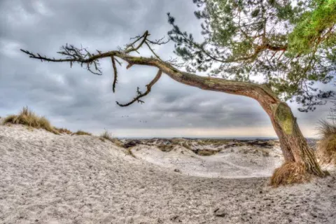 Die Dünen von Dueodde auf Bornholm