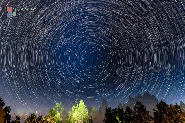 Startrails over trees