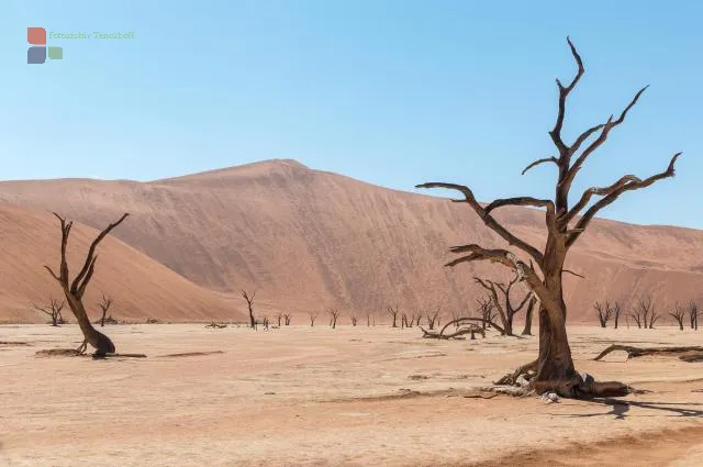 Das Deadvlei