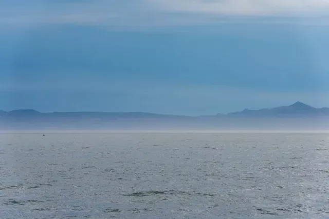 Kunashiri, the black island in the fog