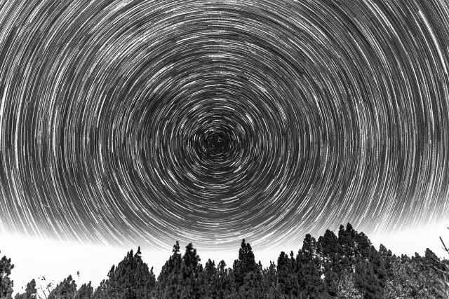 Startrails über Bäumen und Wolken in schwarz-weiß