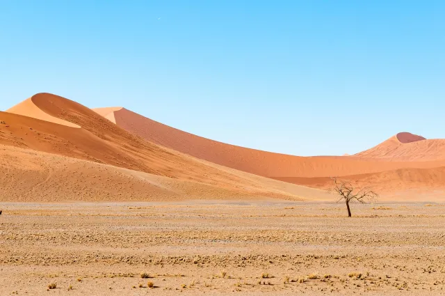 Die Dünen am Sossusvlei