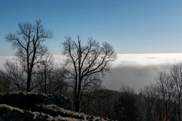 The cloud cover under the Löwenburg