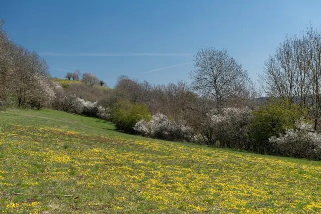 Am Schlakenmehrener Maar