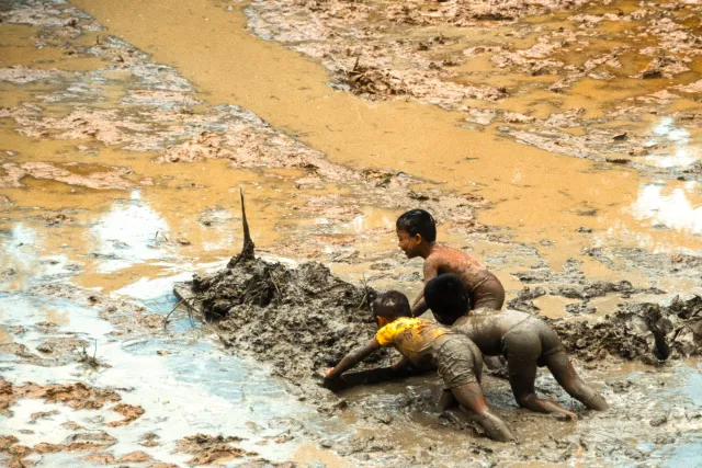 Children play in the rice fields