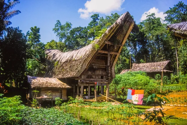 Tongkonan, the impressive houses of the Toraja