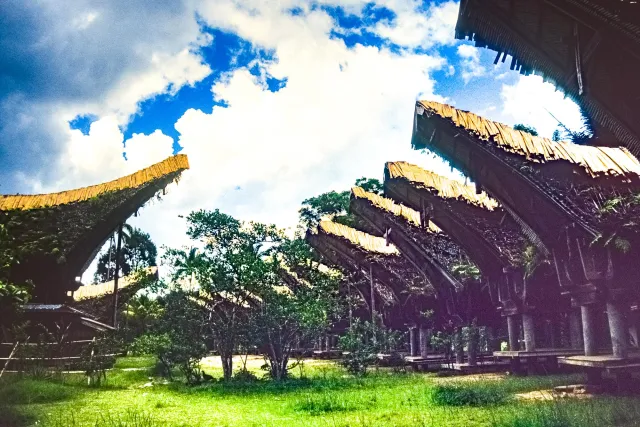 Tongkonan, die beeindruckenden Häuser der Toraja