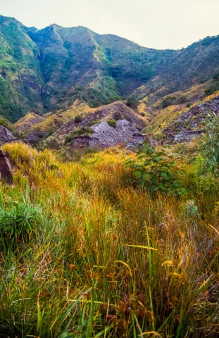 The Bromo plain