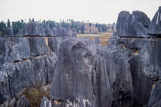 Shilin: Karst landscapes in southern China