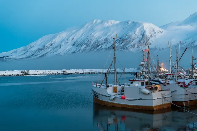 At the port of Fjord Solenagen