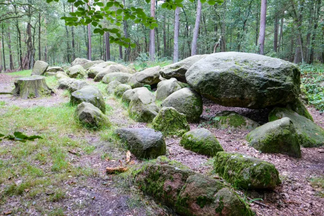 Das Großsteingrab in der Kunkenvenne, auch Großsteingrab von Thuine genannt, Sprockhoff-Nr. 874