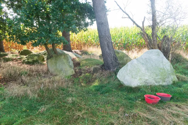 Großsteingrab an der Kölkesdose (Lahn IV) bei Lahn mit der Sprockhoff-Nr.837