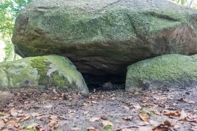 The megalithic tomb Hüven-Süd with the Sprockhoff no. 843