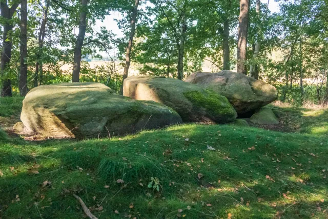 The megalithic tomb Hüven-Süd with the Sprockhoff no. 843