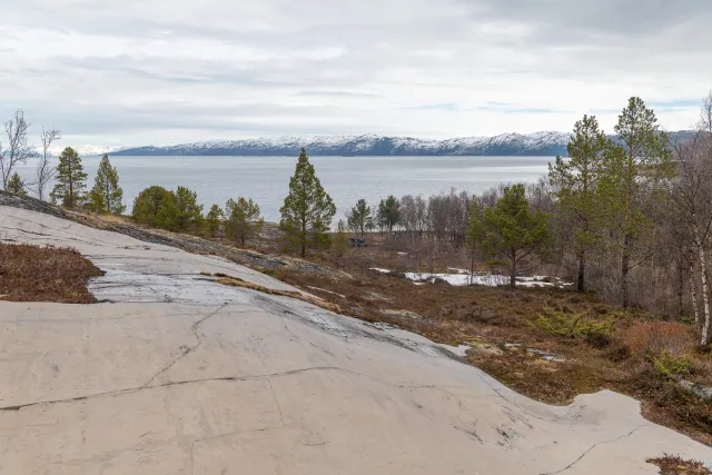 Very nice paths through the landscape of petroglyphs