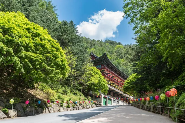 On the way to the entrance gate of the Guinsa Temple