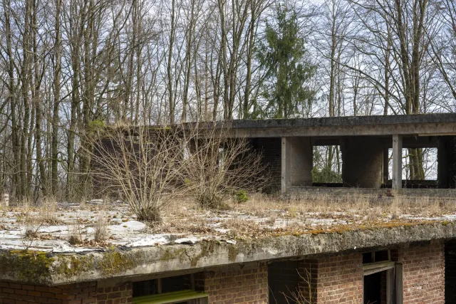 Bushes on the roof of Villa Adenauer