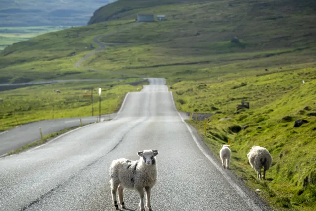 On the streets of Sandoy