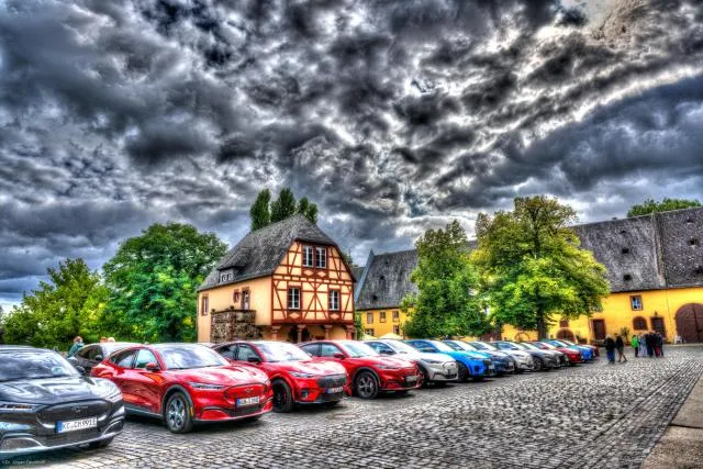 Die Mustangs im Schloss Vollrads bei Bingen